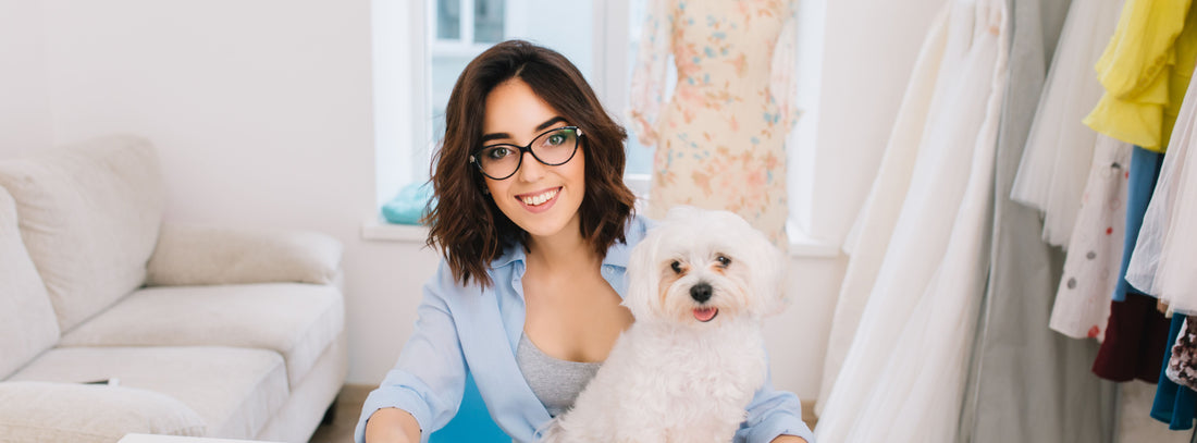 Allergie beim Hund erkennen und richtig handeln