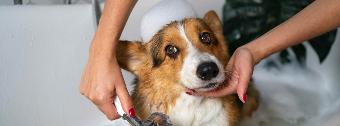 Badebürste und Massagehandschuh