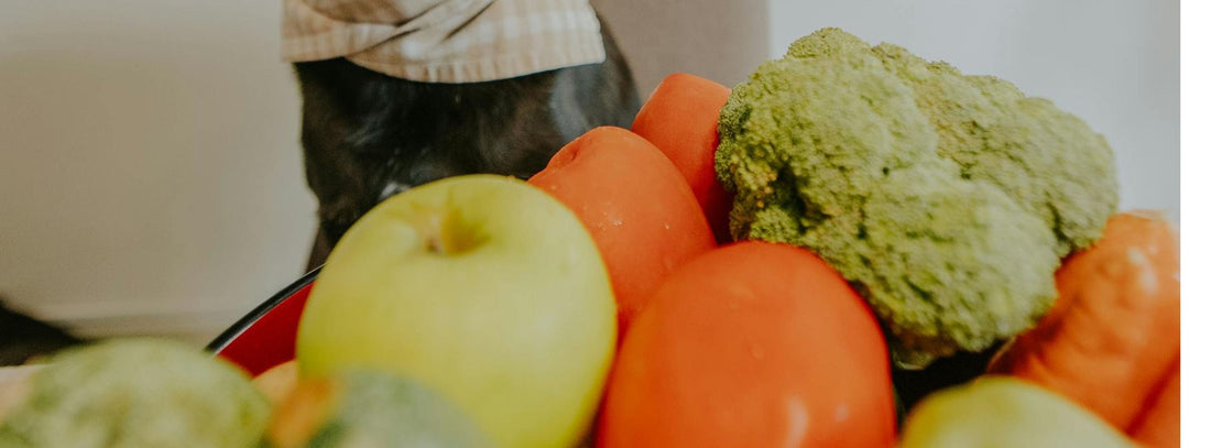 Brokkoli für Hunde – gesund, gefährlich oder genial?