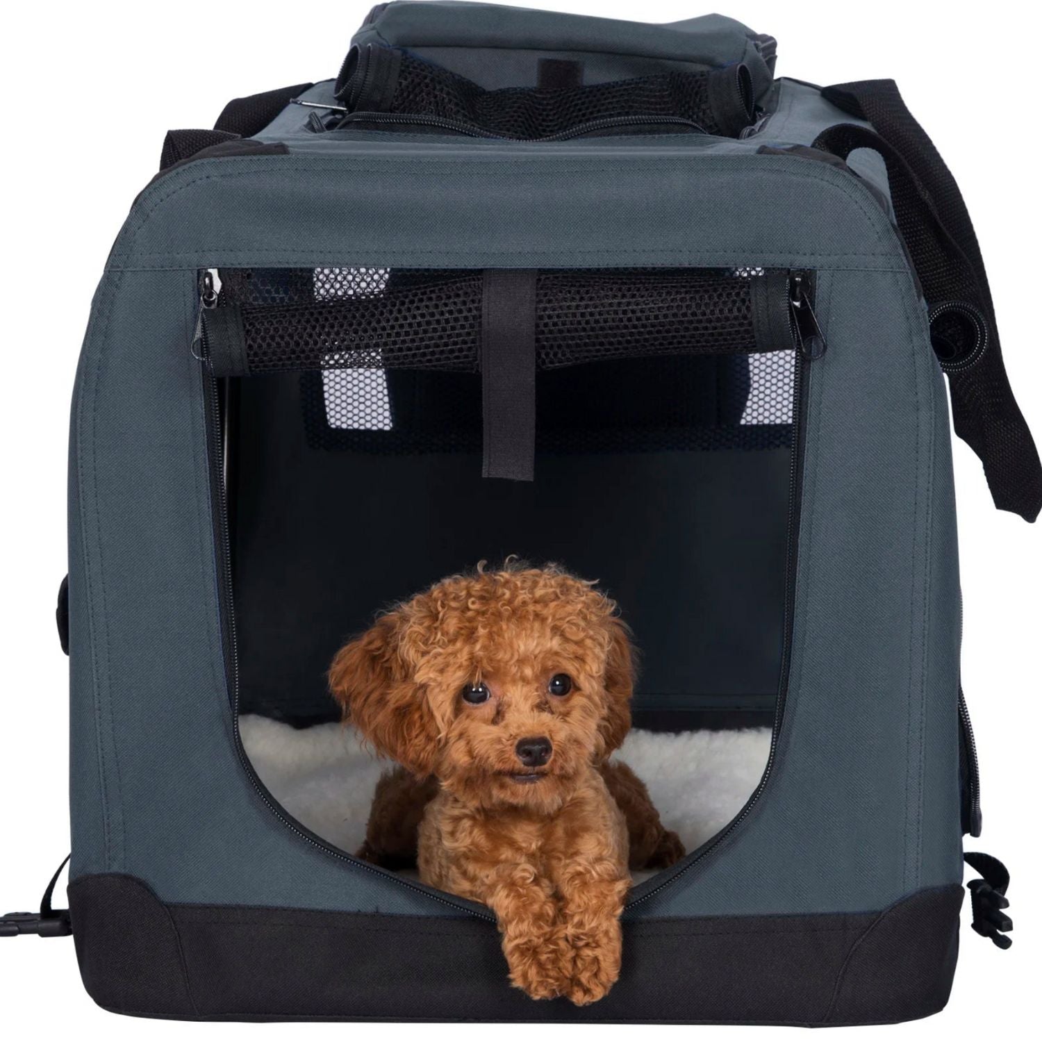 faltbarer Hundekorb für Tierarztbesuche