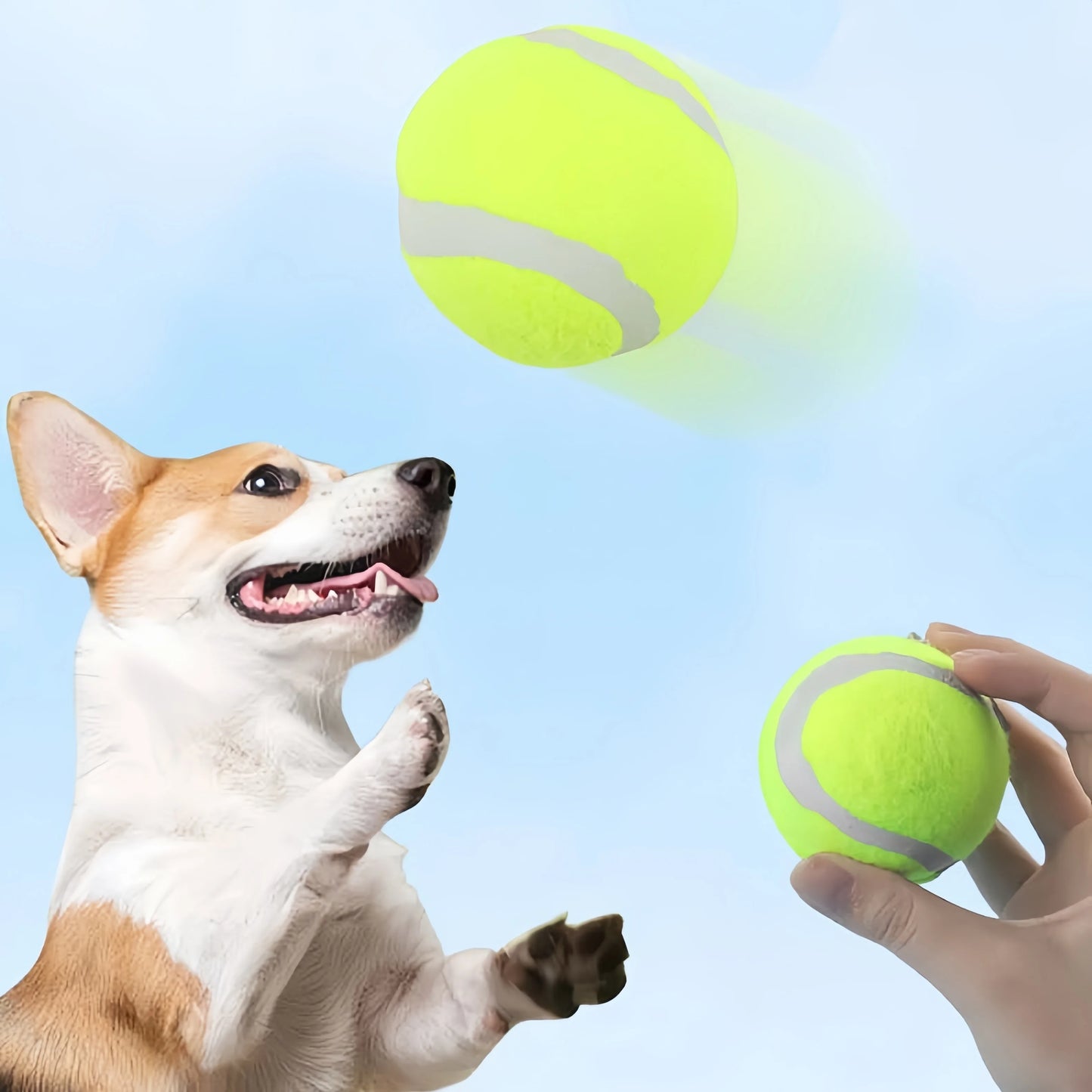Hunde Premium Tennisbälle für Ballerfer (ohne Balltrainer)