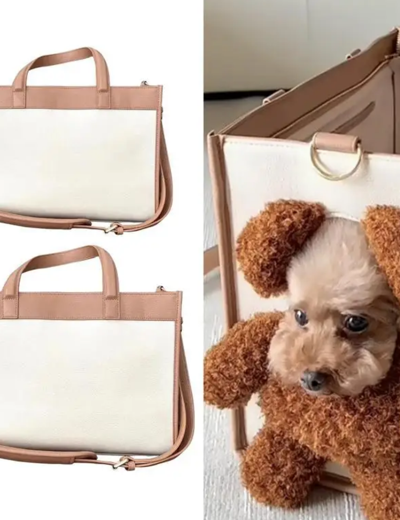 Hundetragetasche mit Hund