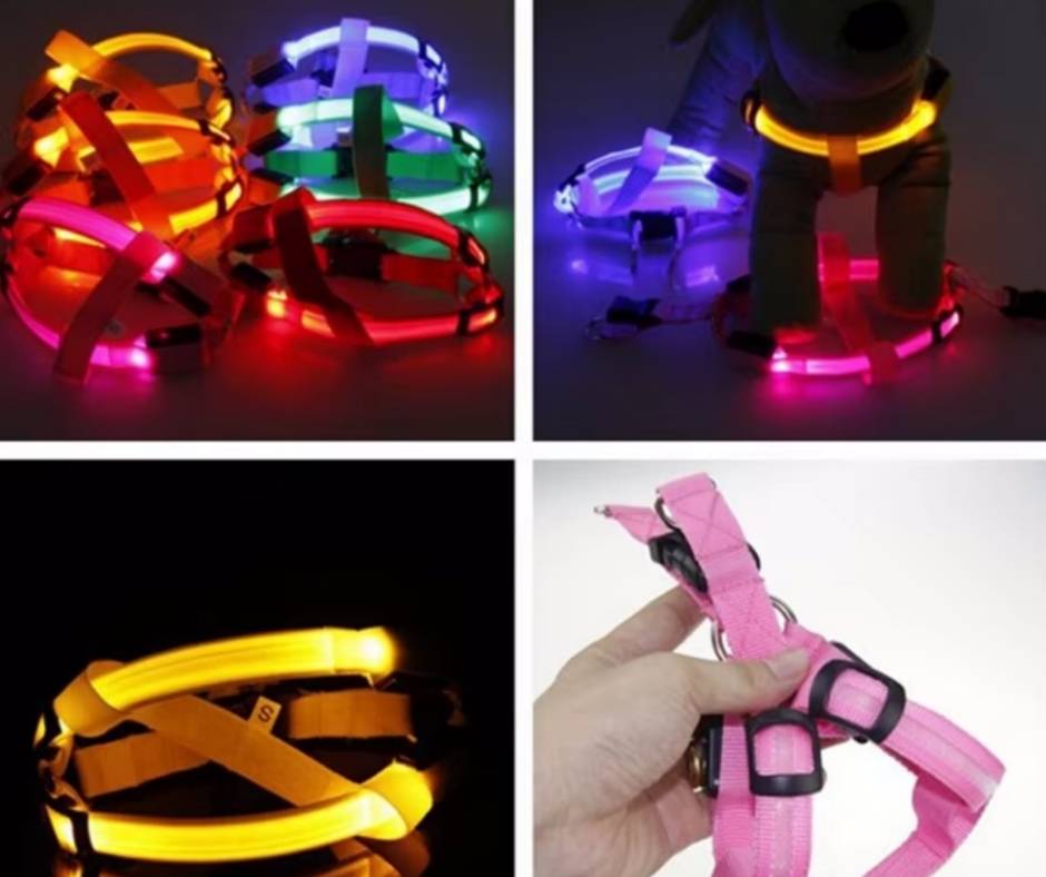 Hundegeschirr mit LED