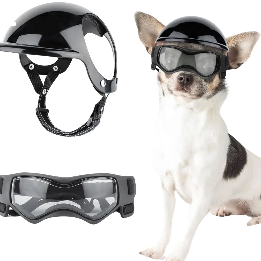 hund goggles Hundebrille mit Helm – Schutz für Ihren Hund