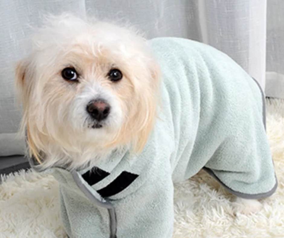 Bademantel Hund - Kuschelige Geborgenheit