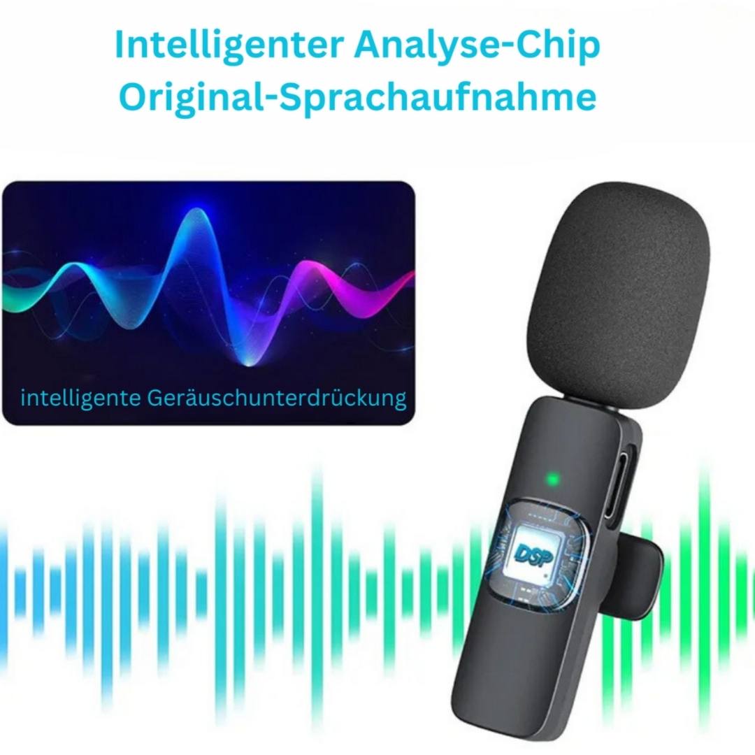 Hundespaziergang ohne Handy undeckbar - drahtloses Mikrofon