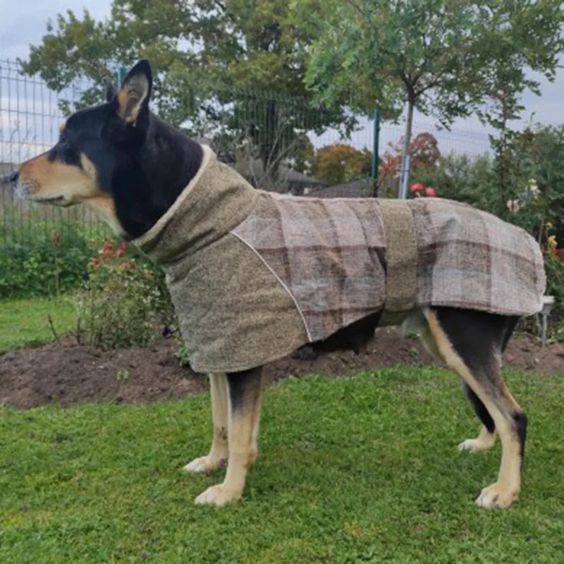Hund im Park mit beigebrauner Karo-Jacke – hoher Kragen, justierter Bauchgurt, Outdoor-Einsatz.