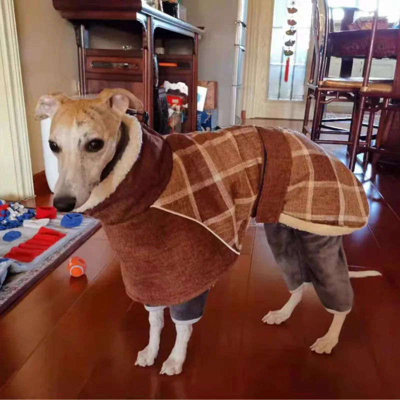 Hund in rostroter Karo-Jacke im Wohnzimmer – Bauchriemen sichtbar, warmes Fleece innen.