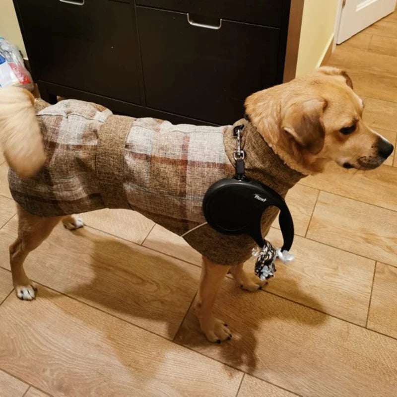 Mittelgroßer Hund mit sandfarbener Karo-Jacke – Bauchriemen und Rückenöffnung deutlich sichtbar.