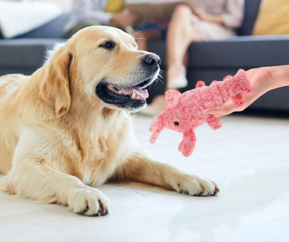 Käpt’n Hein Hummer – Das interaktive Hundespielzeug gegen Langeweile