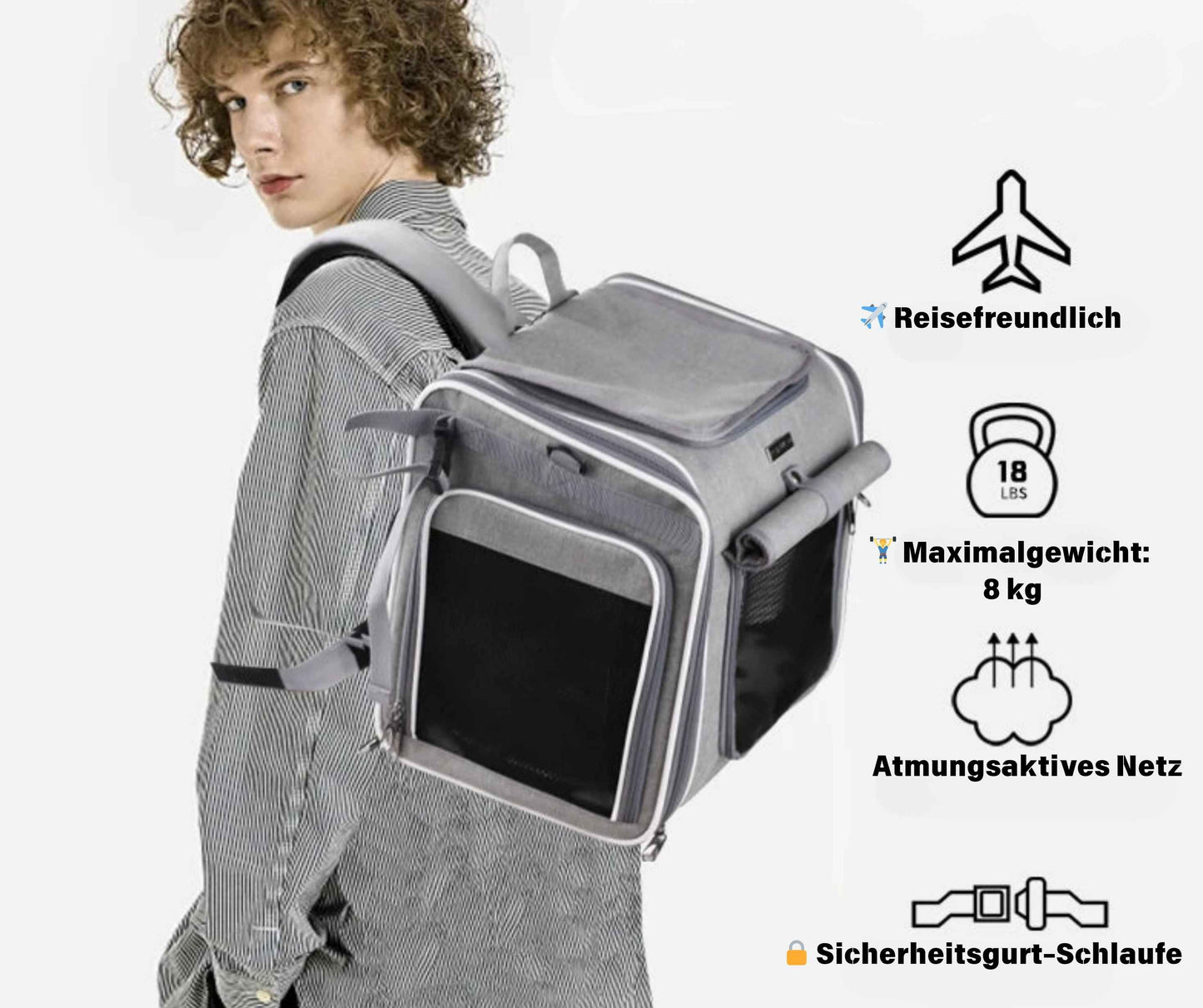 Fahrradkorb für Hunde – Mit Liebe gefahren – sicher an Ihrer Seite