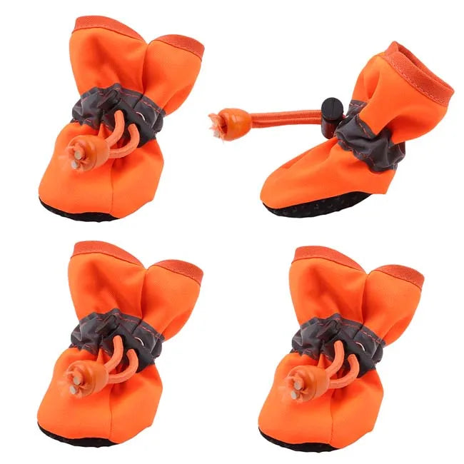 Hundeschuhe Wasser neutral
