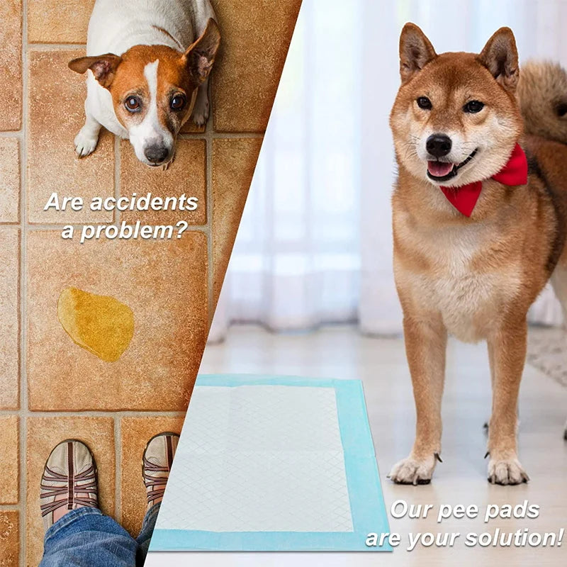 Weil Hunde Familie sind – Produkte, die beschützen, begleiten und verbinden.