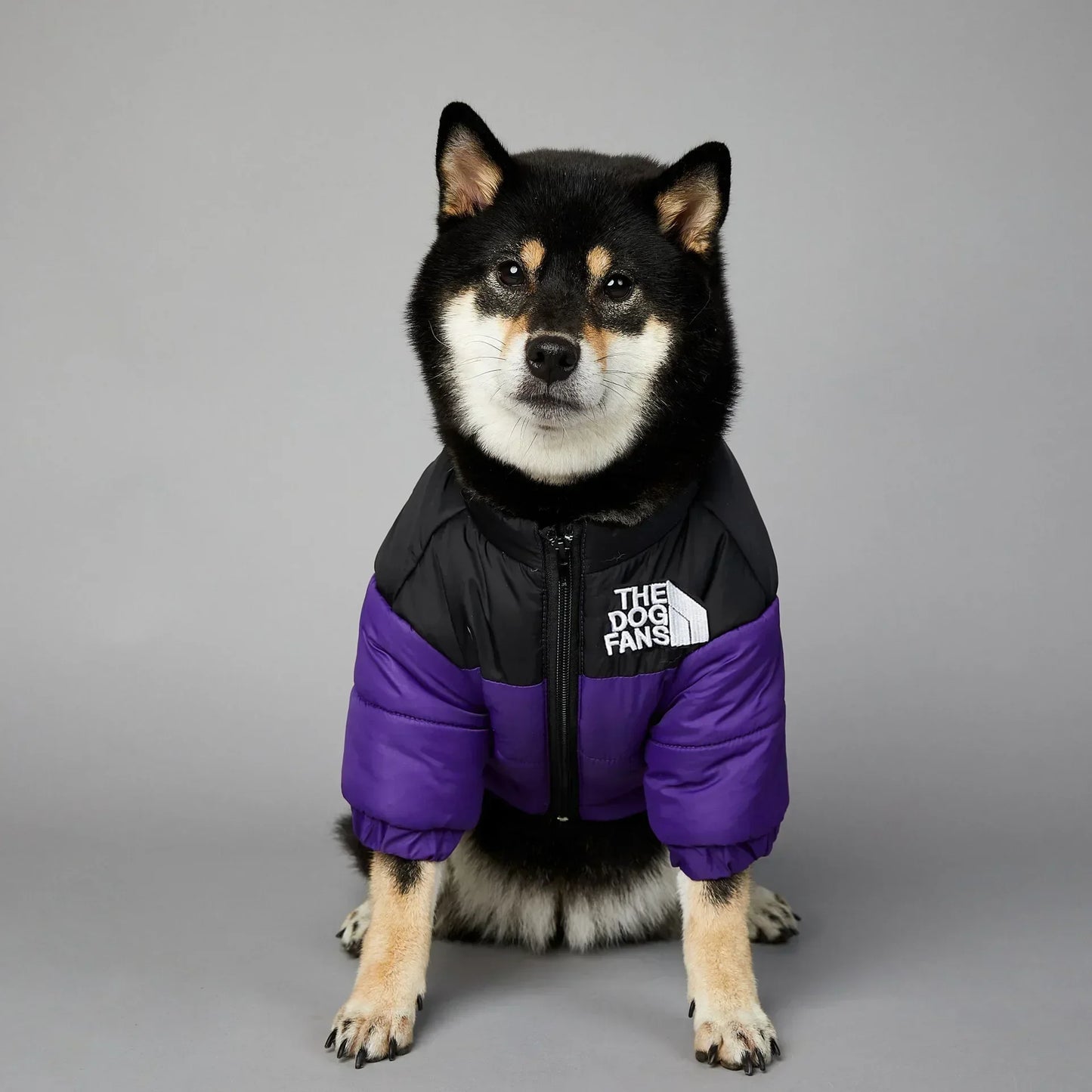 Hundejacke Winter „Puffer“ – warm, leicht, alltagstauglich