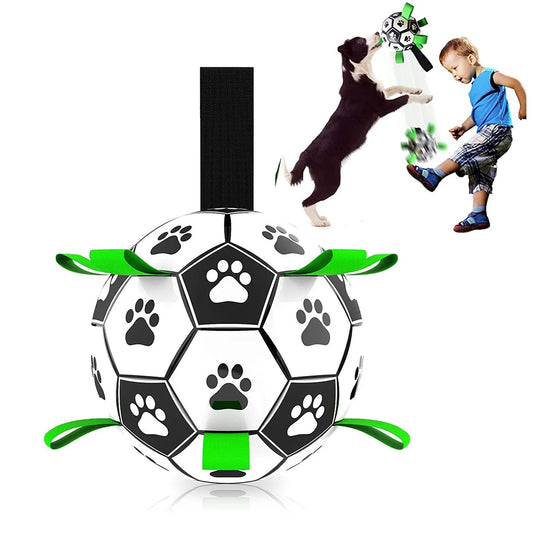 Fußball für den Hund und deine Kinder