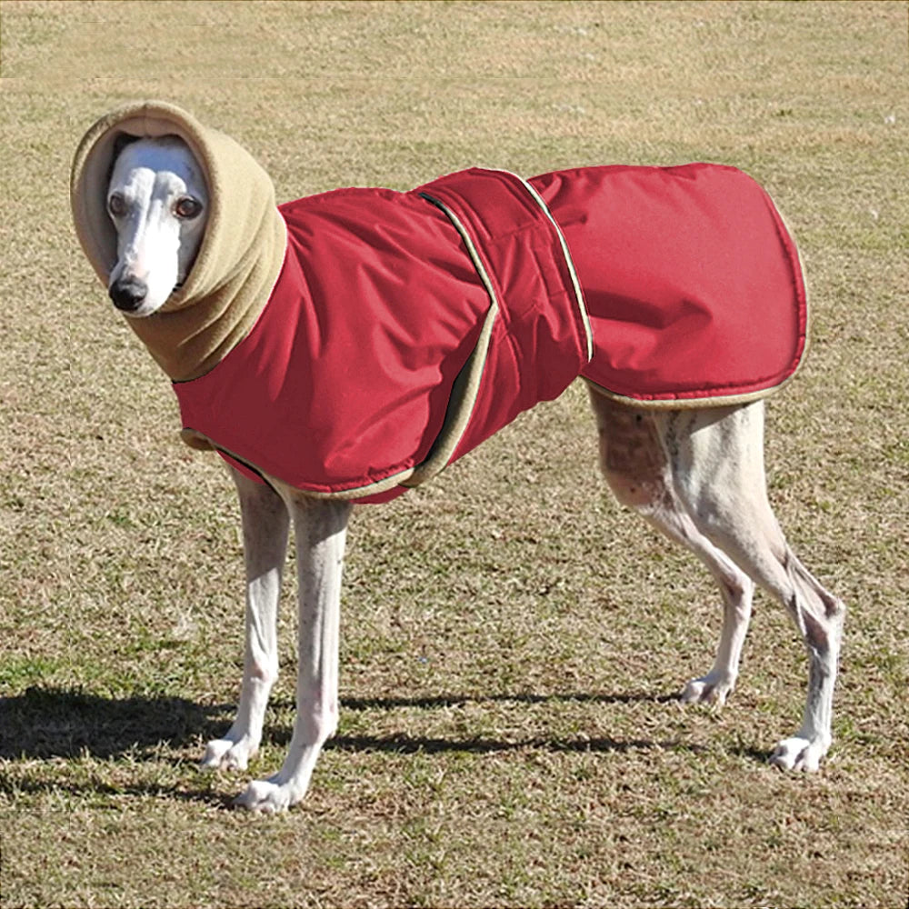 Hundemantel Winter groß – Bauchschutz & Fleecekragen