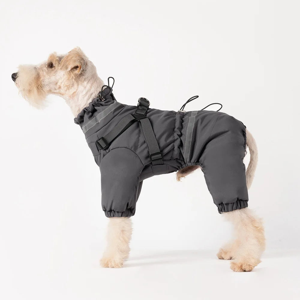 Winteroverall für Hunde mit Rückenreißverschluss und Abdeckleiste – Detail. in Grau