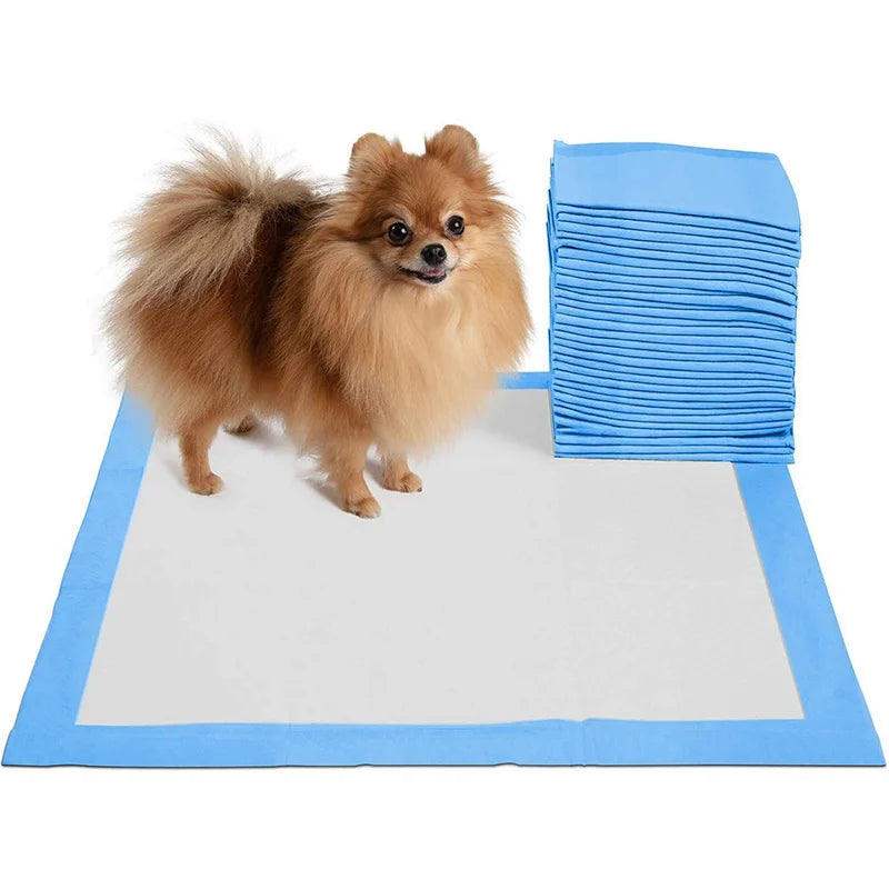 Weil Hunde Familie sind – Produkte, die beschützen, begleiten und verbinden.