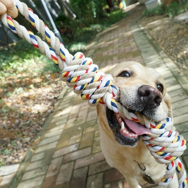 Hundespielzeug - ein Strick