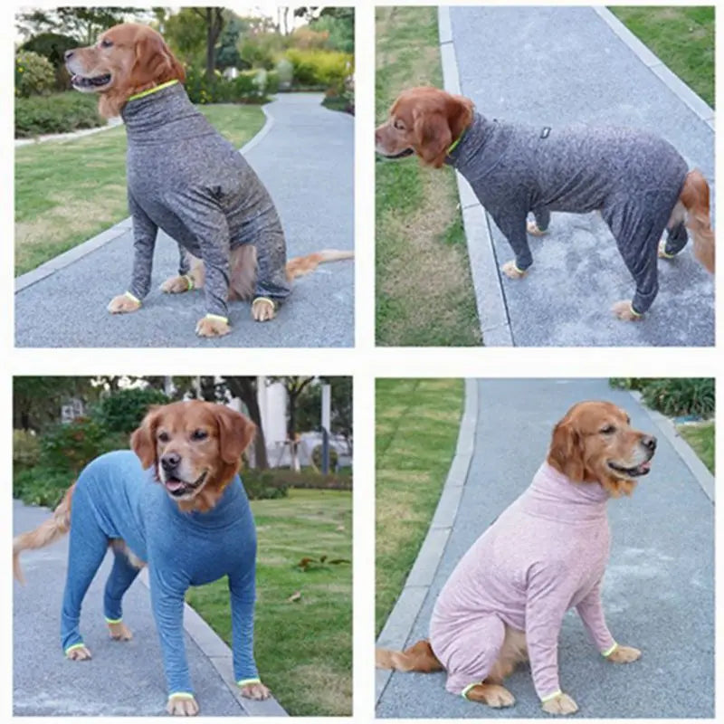 Vier Fotos – Hund in verschiedenen Farben
Verschiedene Varianten des Hunde-Genesungsanzugs in Rosa, Grau und Blau – hoher Kragen, Beinabschlüsse, gute Passform.