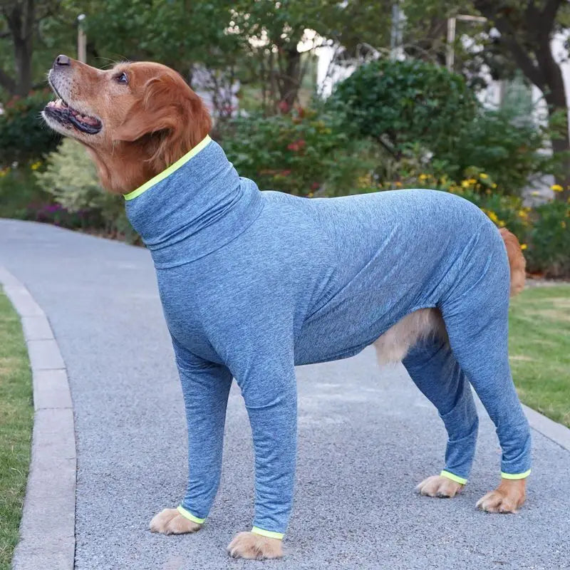 Hund in blauem Genesungsanzug auf Gehweg
Großer Hund im blauen Hunde-Genesungsanzug mit hohem Kragen – bequemer Schutz nach Operation für Heilungszeit im Freien.