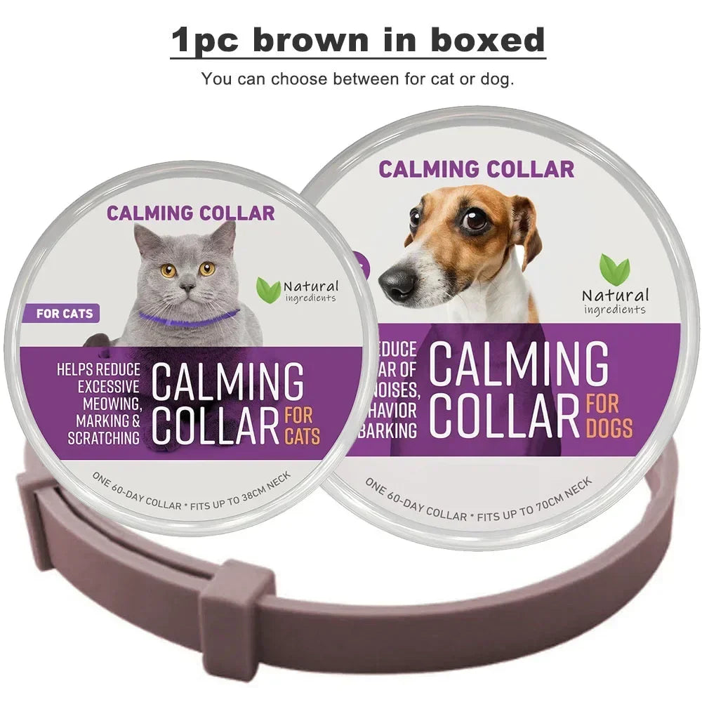 Pheromon Beruhigungs-Halsband für Hunde – Ruhe, die bleibt!