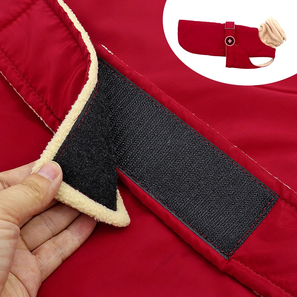 2. Detailaufnahme Bauchschutz und Klettverschluss am Hundemantel