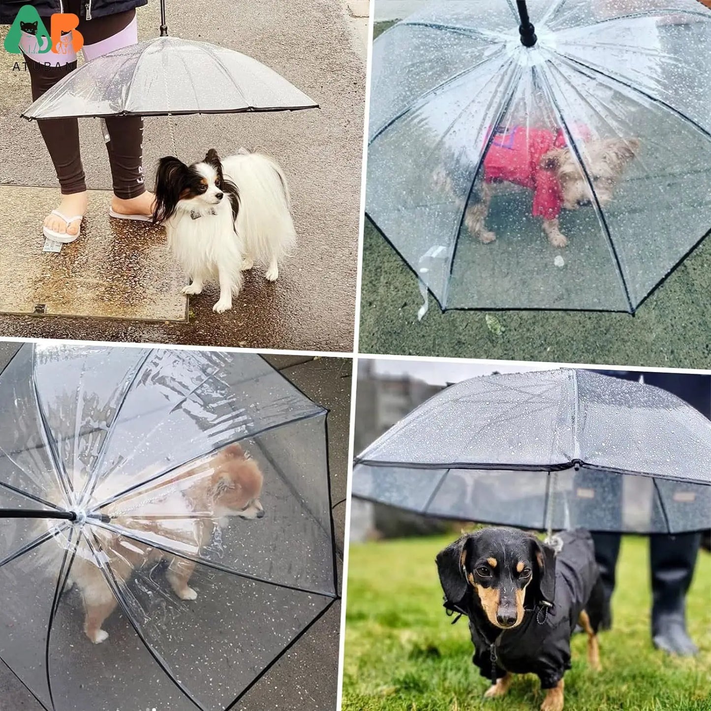 Hunderegenschirm für glückliche Hunde