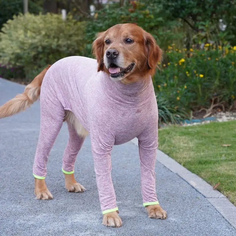 Hund in rosa Genesungsanzug
Hund sitzt entspannt im rosa OP-Anzug – schützt Wunden, verhindert Lecken und hält warm.
