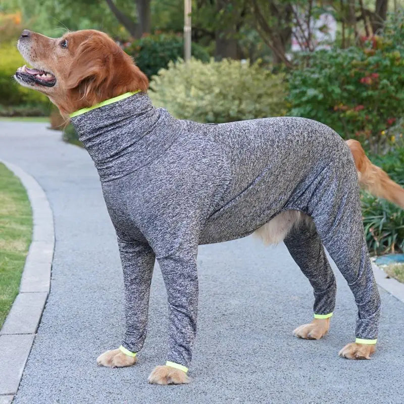 Detailaufnahme grauer Hunde-Body mit Beschriftung
Detailansicht des grauen Hunde-Genesungsanzugs mit Fokus auf Kragen, Brustdehnung und Bauchschutz