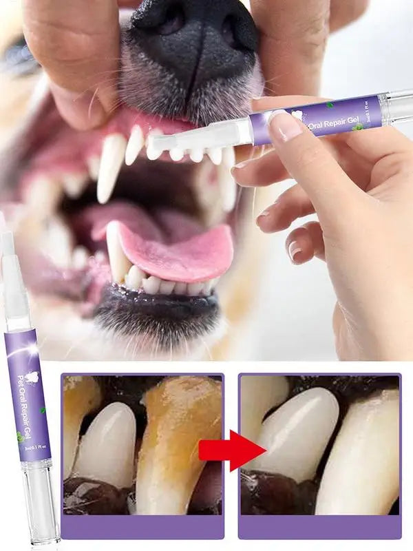 Anwendung des Zahnreinigungsgels