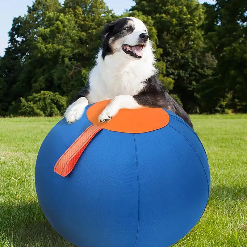 Hundeball riesengroß 45 cm zum spielen aus dem eddy-shop.de