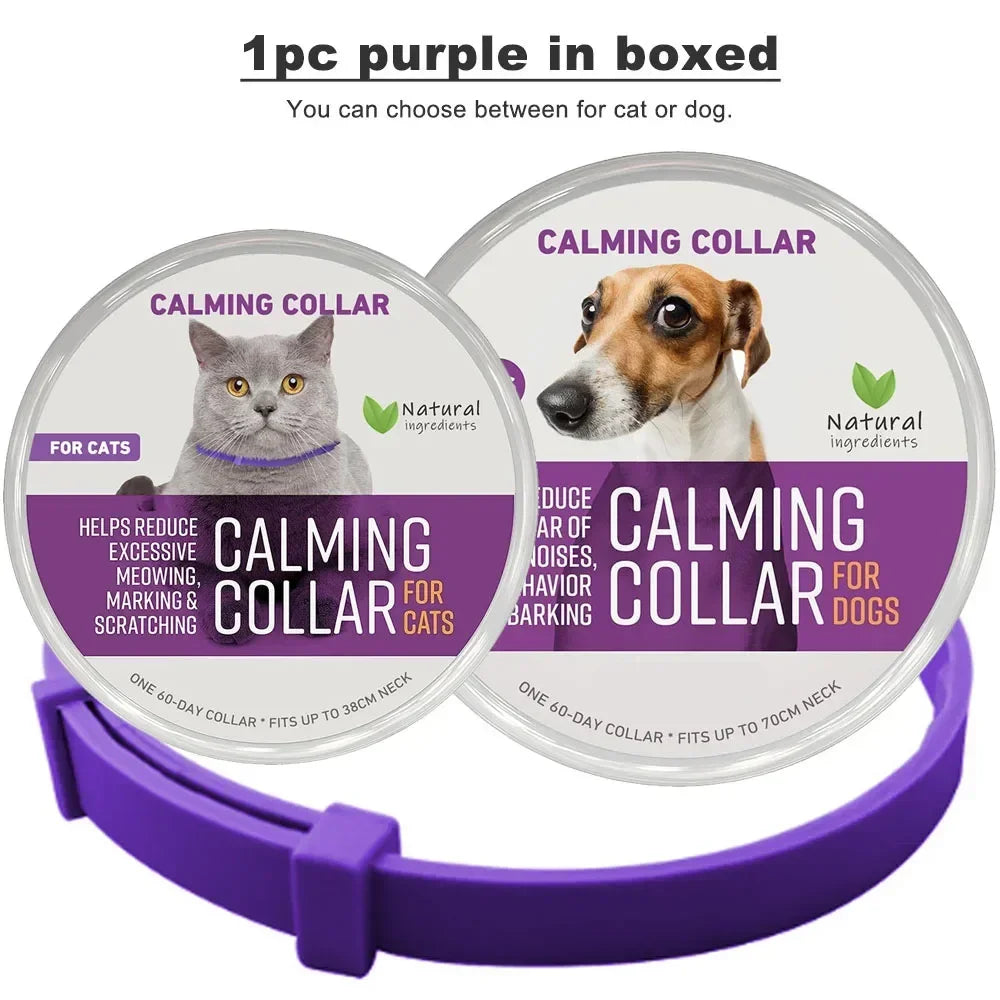 Pheromon Beruhigungs-Halsband für Hunde – Ruhe, die bleibt!