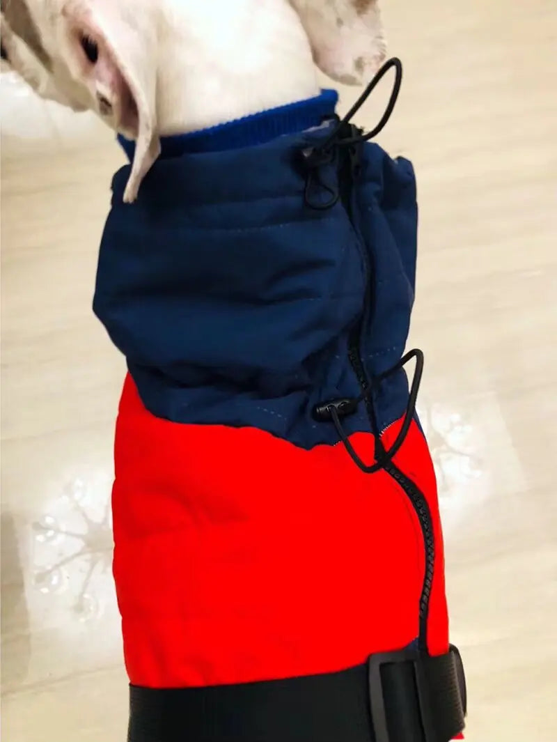 Verstellbarer Bauchgurt mit Klickverschluss für sicheren Sitz des Hundemantels