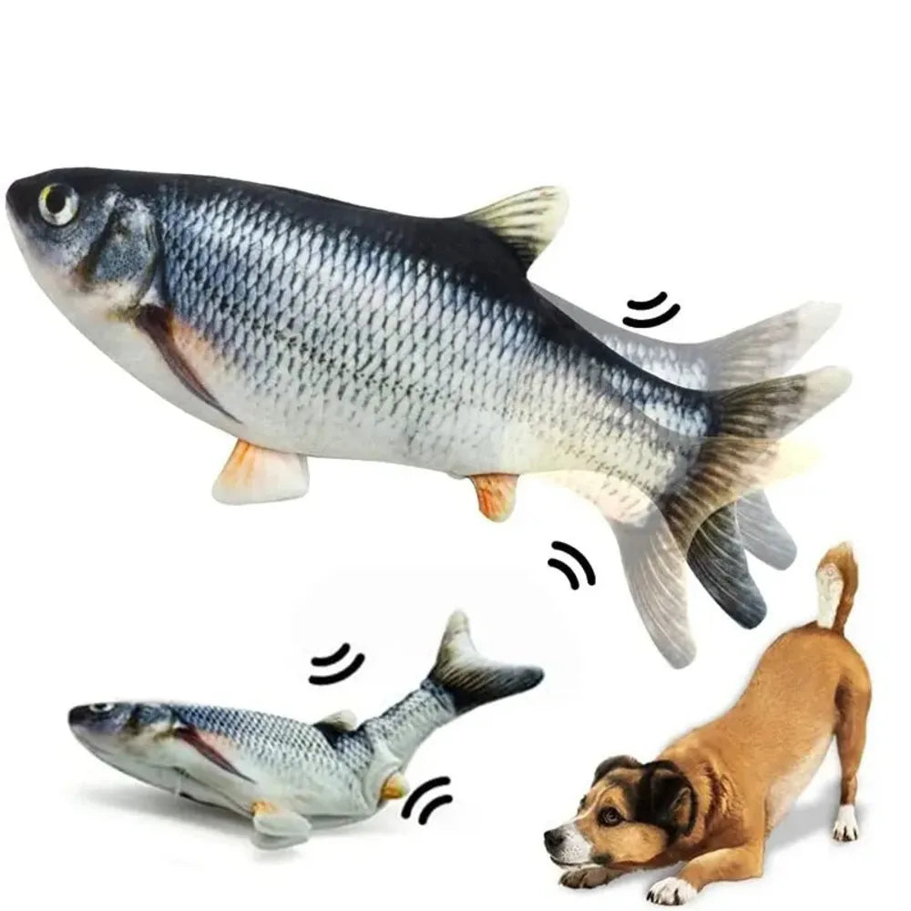 Zappel Fisch Leo der Karpfen