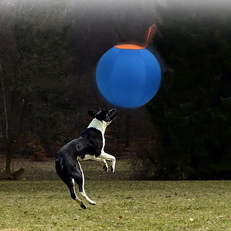 Blauer Hundeball riesengroß 45 cm zum spielen aus dem eddy-shop.de