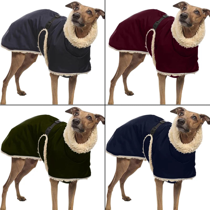 Windhund Jacke Farbübersicht der Jacke: Schwarz, Armeegrün, Dunkelblau und Weinrot. im eddy-shop.de