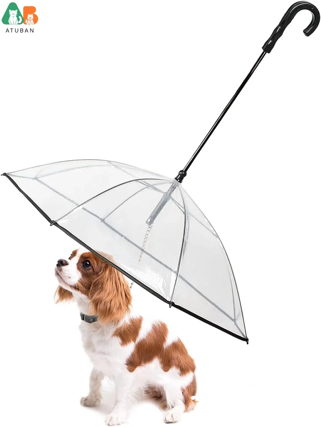 Hunderegenschirm für glückliche Hunde