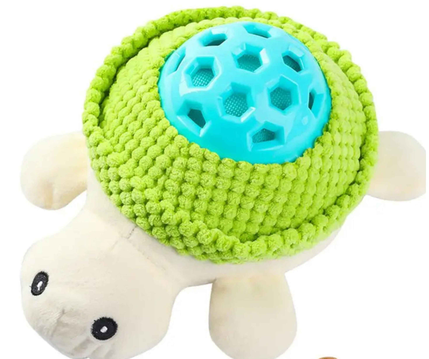 Schildkröte Tröti in Blau