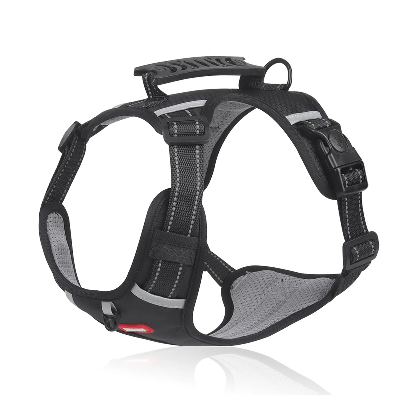 Hundegeschirr Buddy – Sicherheit trifft Komfort in seiner besten Form