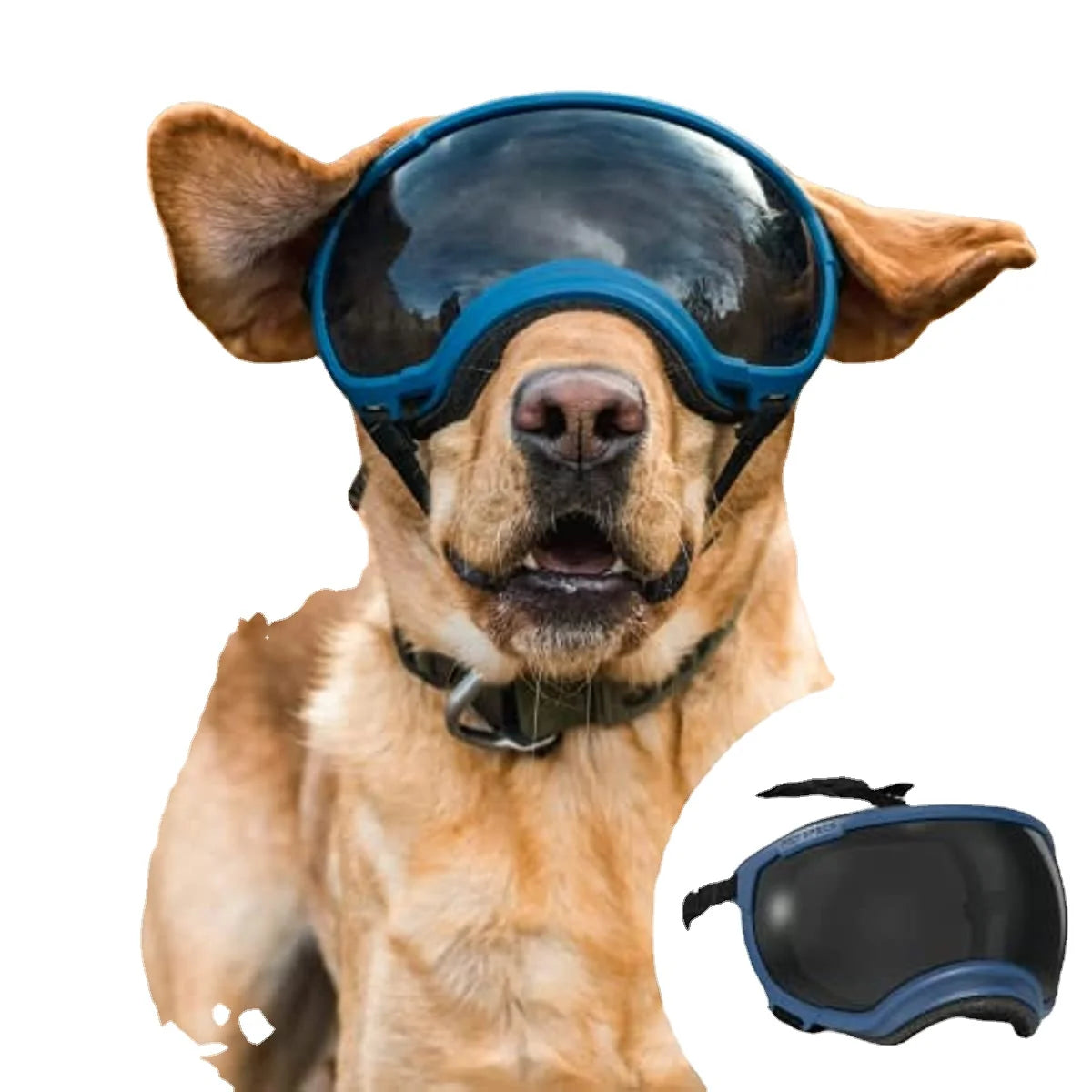 hund goggles Hundebrille – sorgfälltig angepasster Augenschutz für Outdoor-Hunde