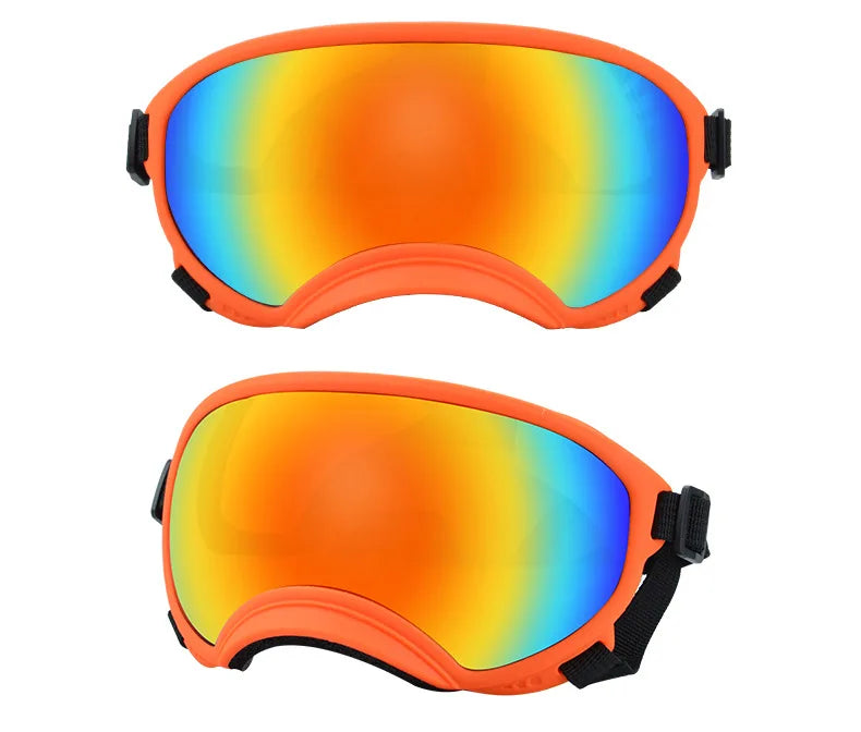 Hundebrille Orange