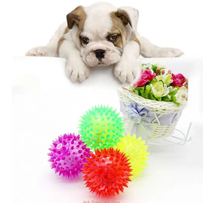 Kleiner Hunde mit stacheligen Hundebällen