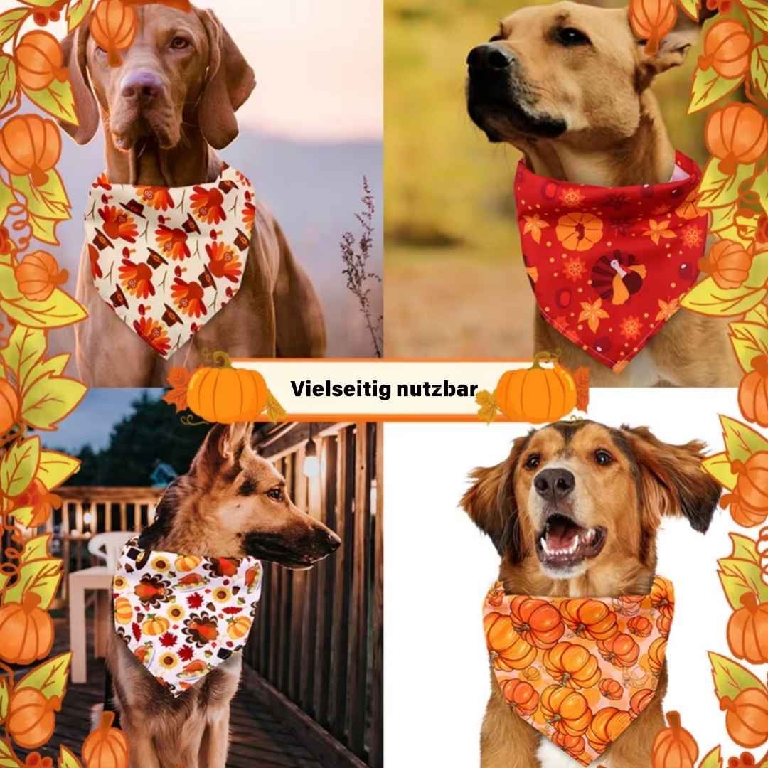 Hundehalstuch wie ein Wappen