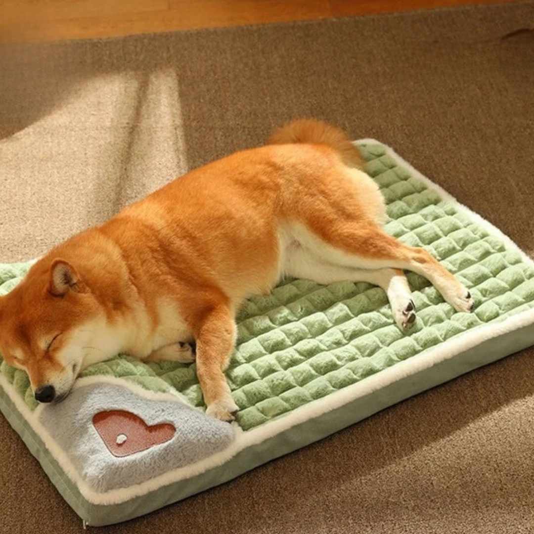 Waschbares Hundebett Vier Jahreszeiten – orthopädisch & stilvoll