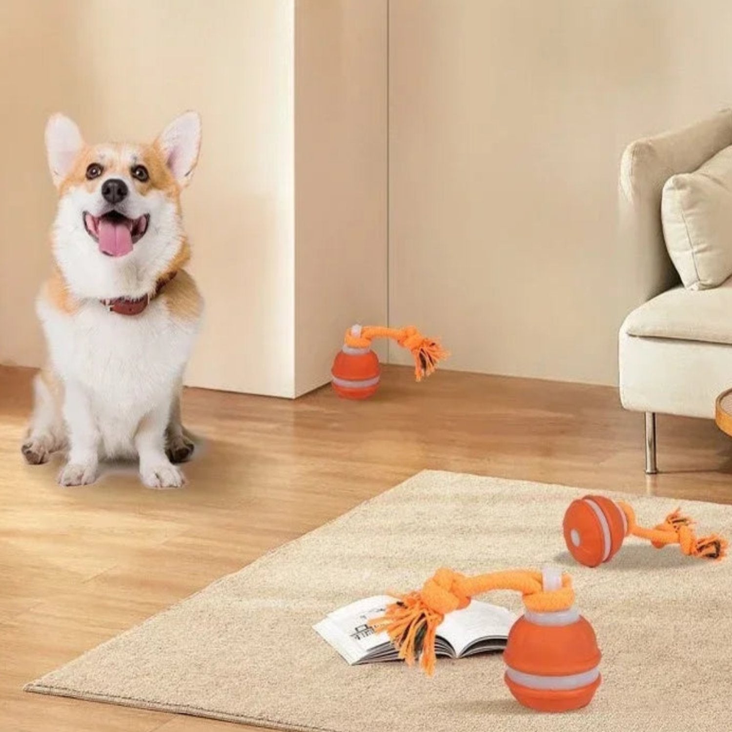 Interaktives Kauspielzeug für Hunde – Bewegungs- & Denkspaß