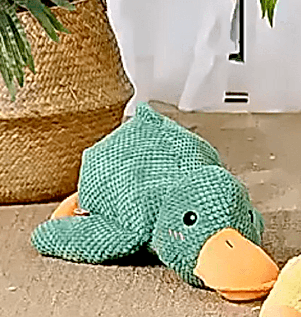 Die Ente fürs Auto - eddy shop