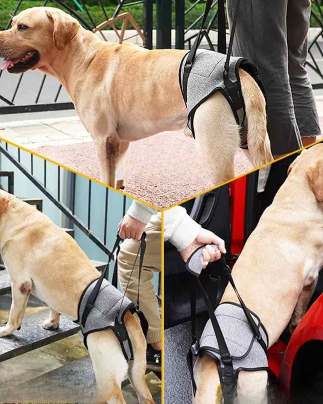 Hundetragehilfe – Hundeliftgeschirr für verletzte  Hinterbeine