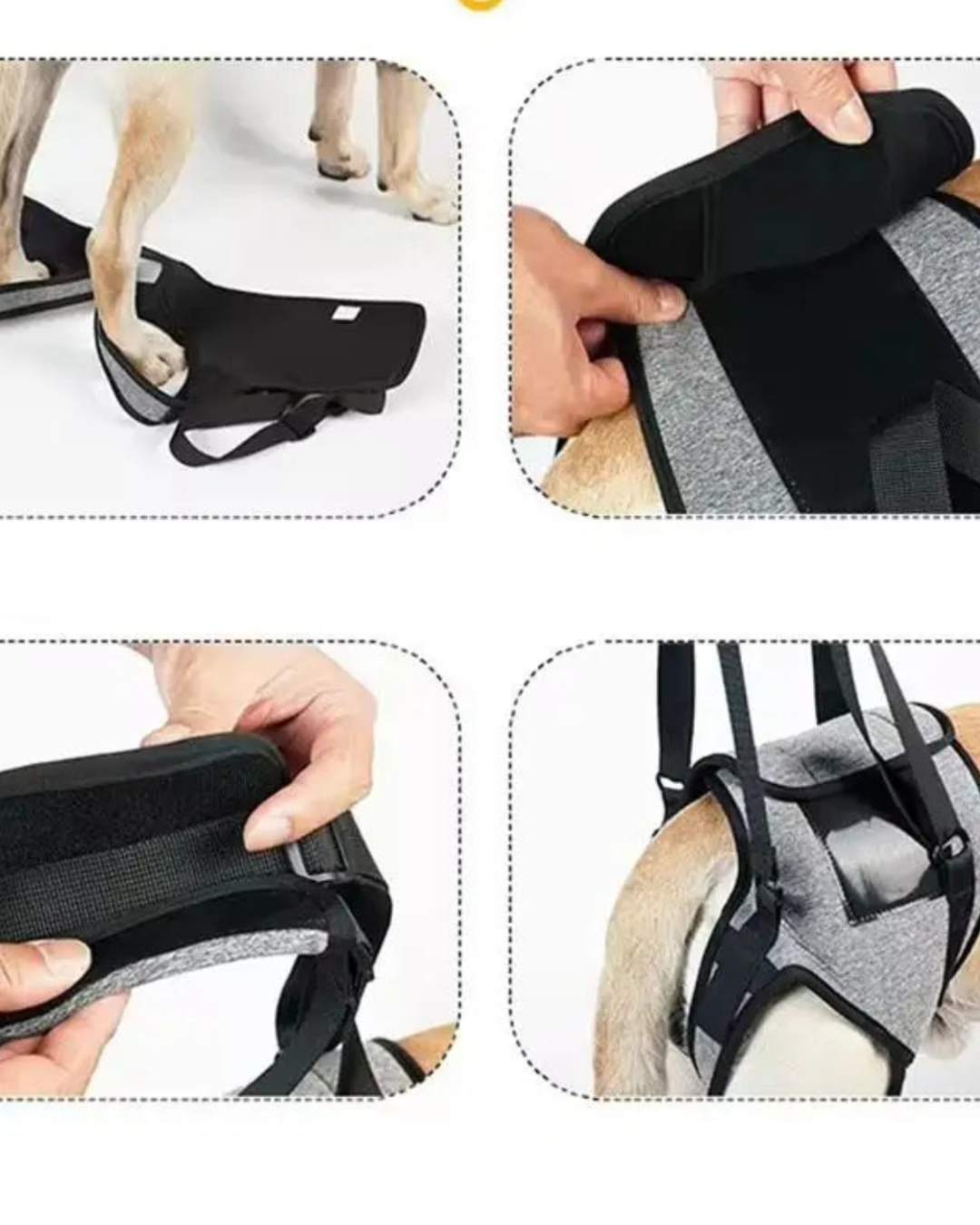 Hundetragehilfe – Hundeliftgeschirr für verletzte  Hinterbeine