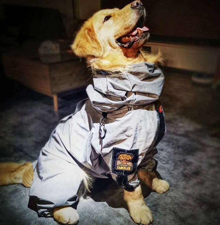 HUNDE REGENMANTEL FÜR DEN STYLISCHEN HUND - eddy shop